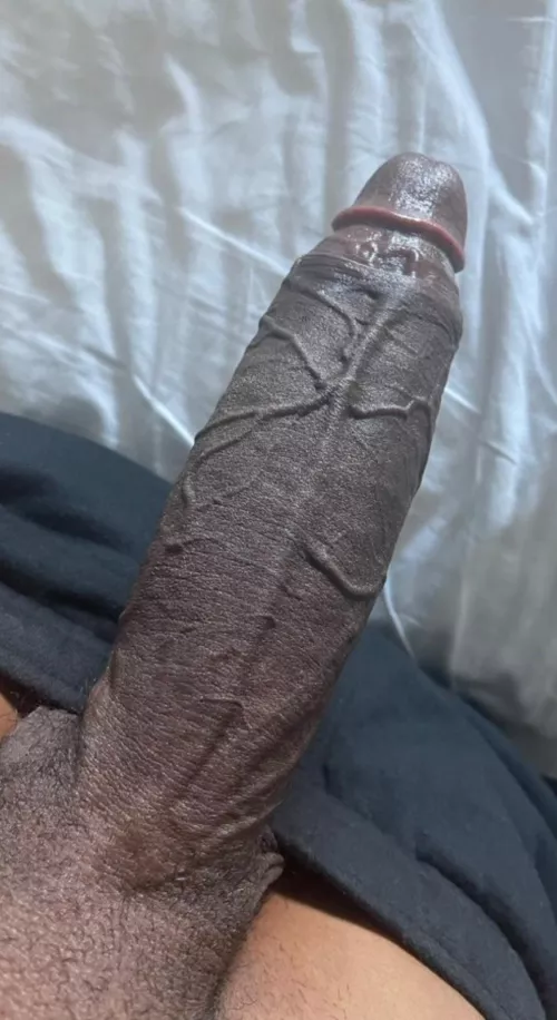 I can do with some good head right now by jamieleigh1909