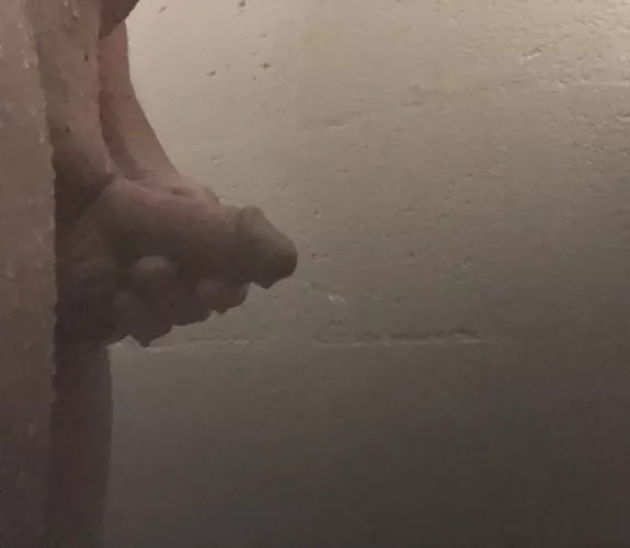 I could have used a mouth at the gym this morning. by Minute-Blacksmith937