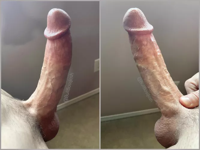 I couldn’t decide which one to post. What do you guys think? by BullGP