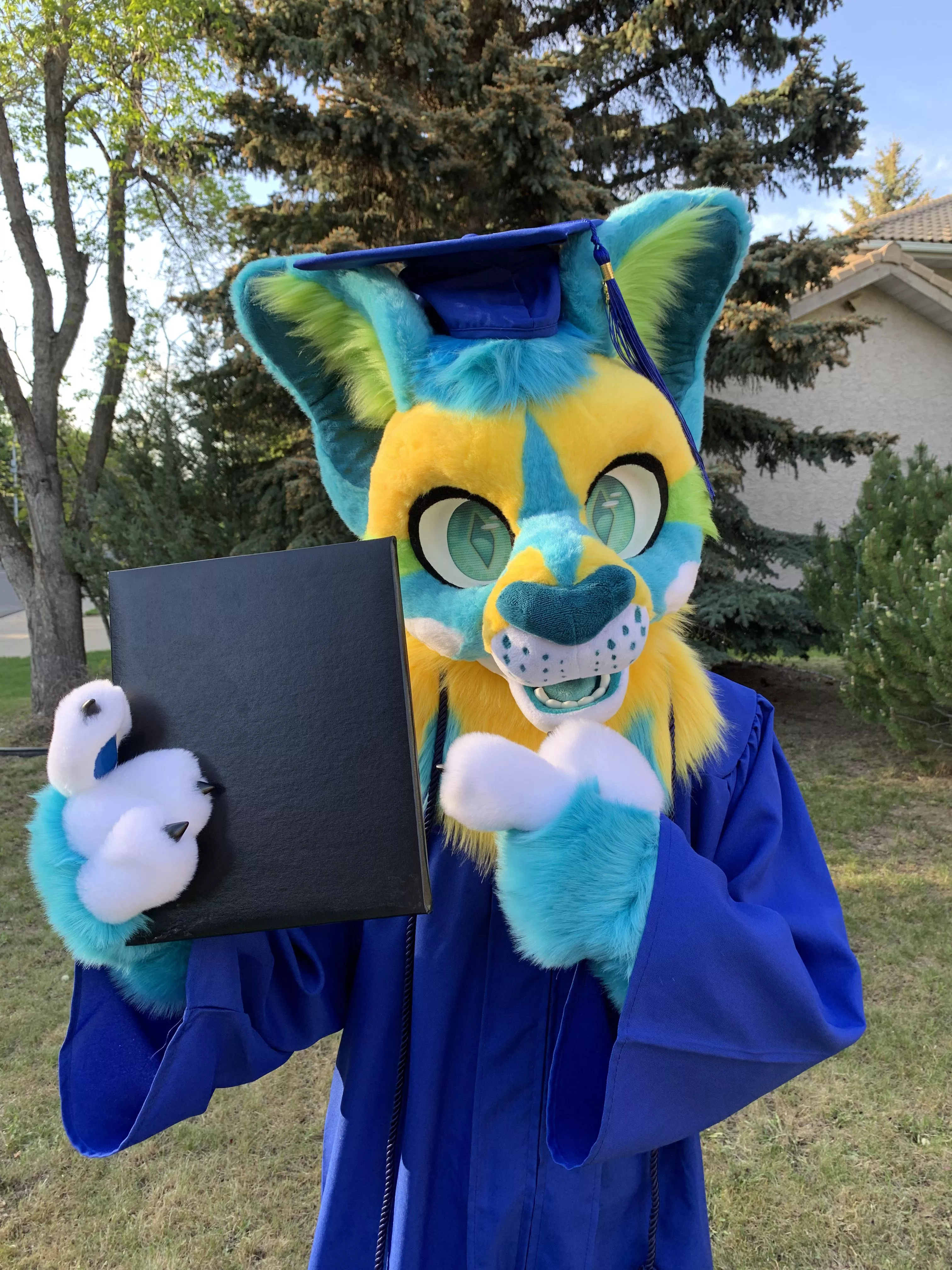 I did a thing ⚡️ posted by Expl0rerWolfie