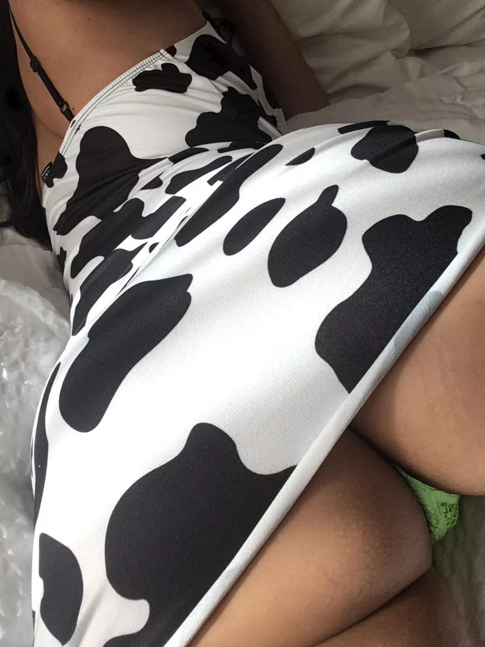 I don't say meow ~ 🥺 posted by silvertonguing