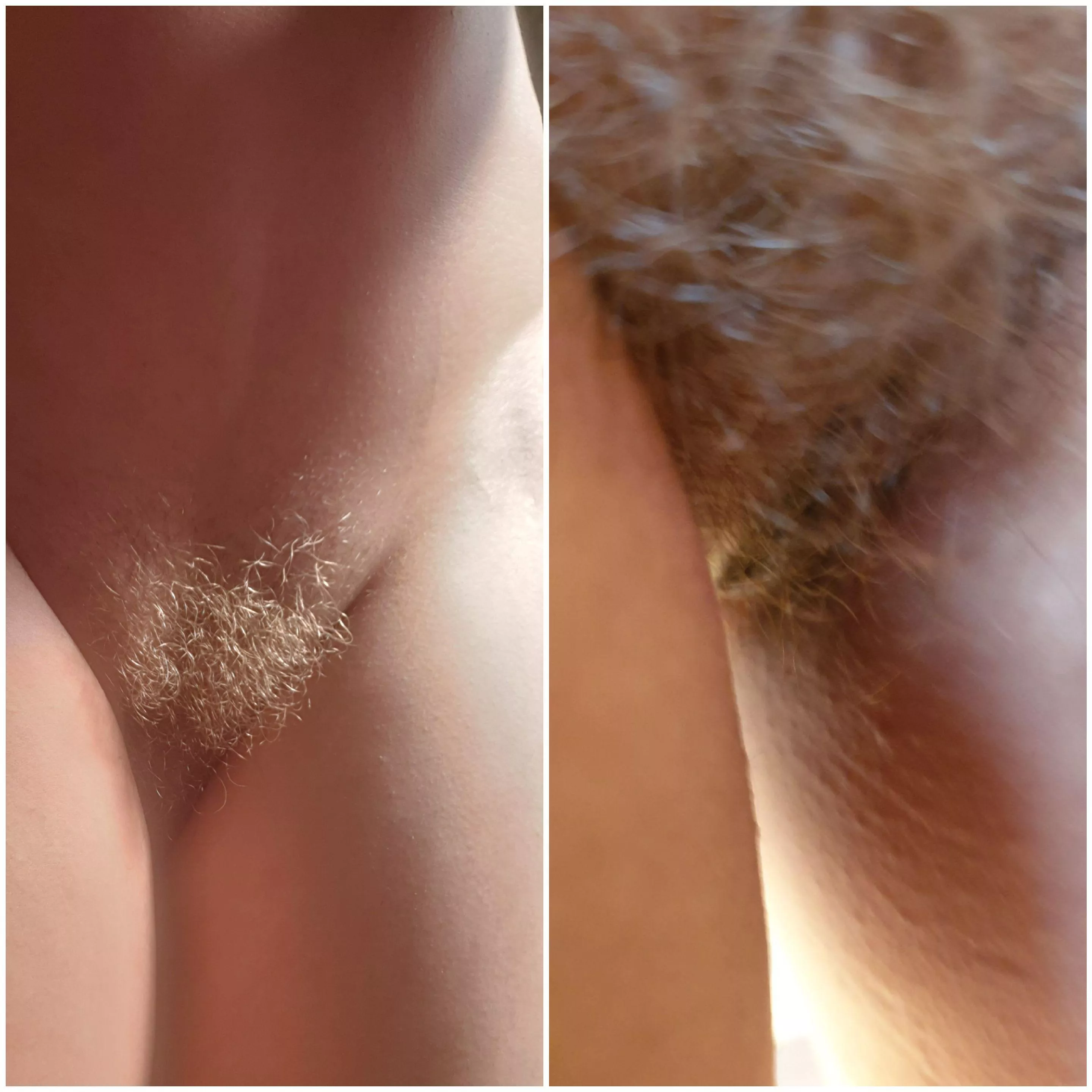 I don't think my bush needs a creative caption ...it's a statement all in itself #blondebush #hairpositive #natraulblondebushnz #nattiebush posted by naturalbushblondieNz