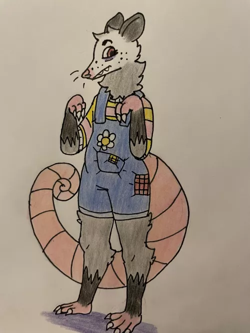 I drew a cute opossum boy! by DigiDork2001