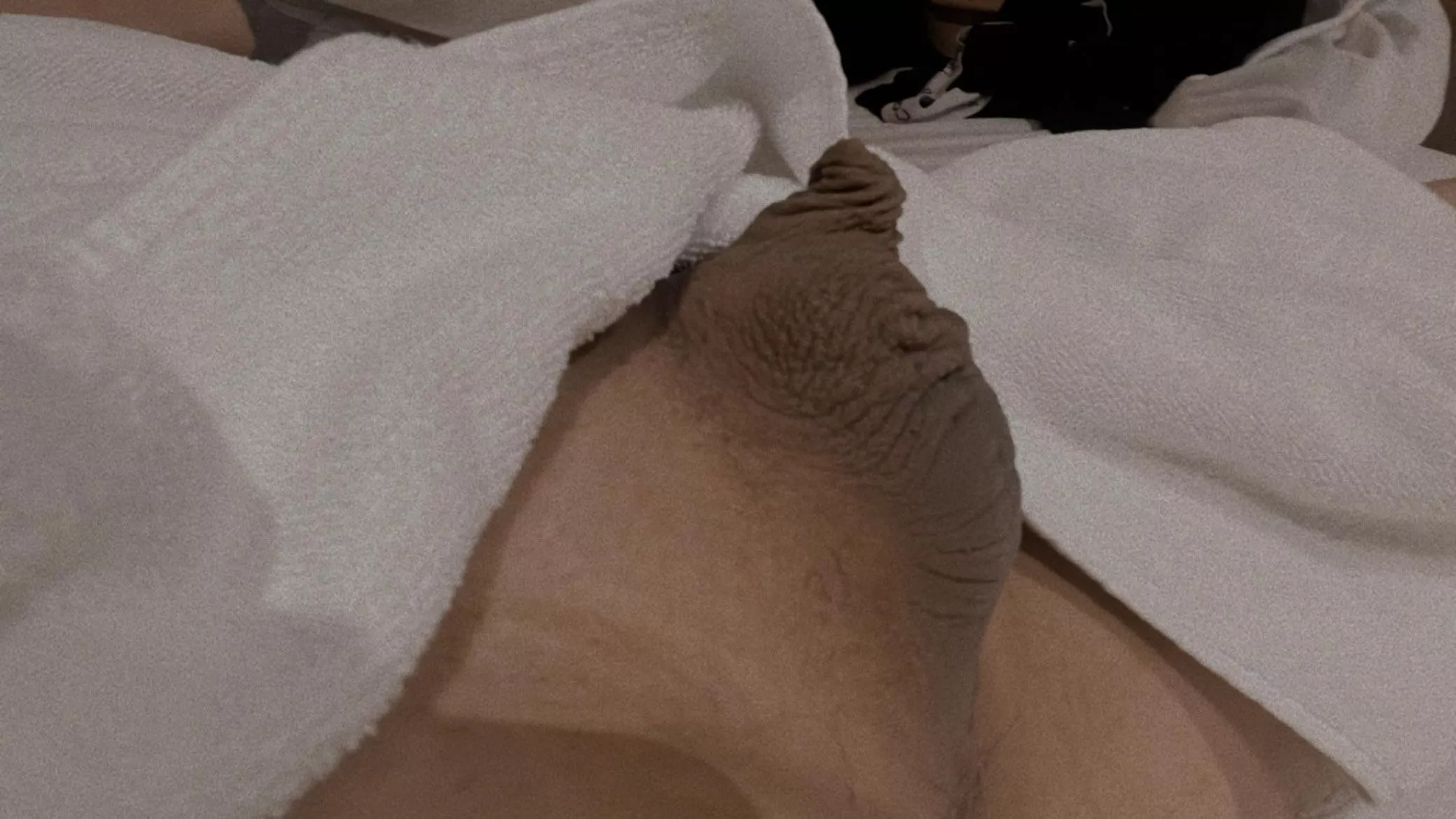 i feel like only asians can do this with our penis(?) posted by Signal_Ad6988