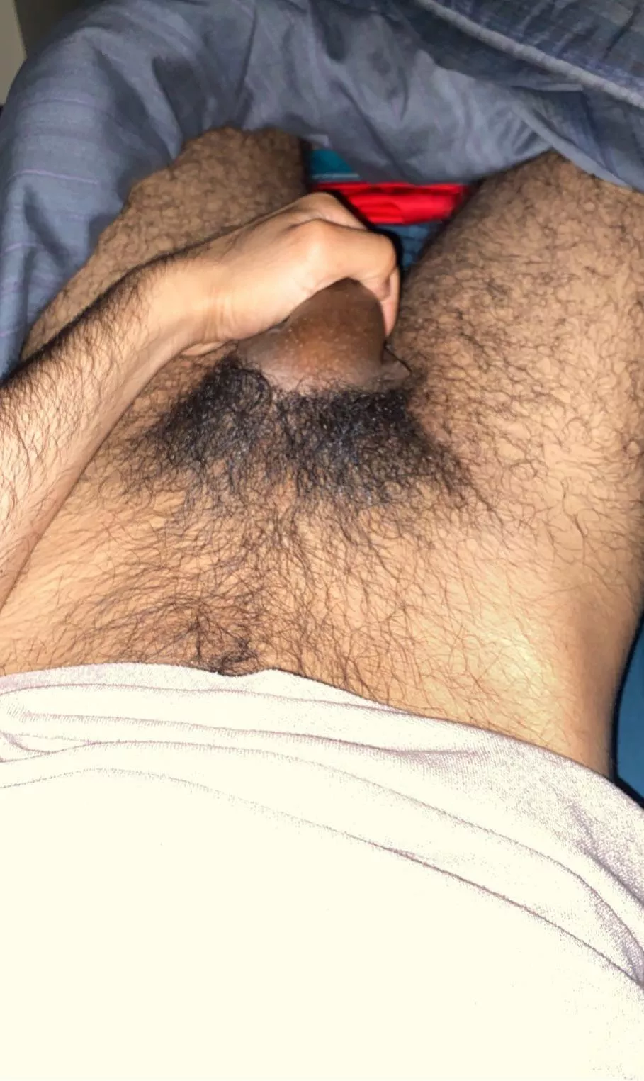 I feel like they’re hairy? 20m posted by tdaz2072