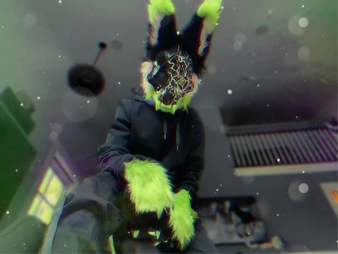 I finally got my first fursuit! He just came in yesterday - meet Beetlejuice! I have a lot of hopeful long term plans with him <3 by kiittea_