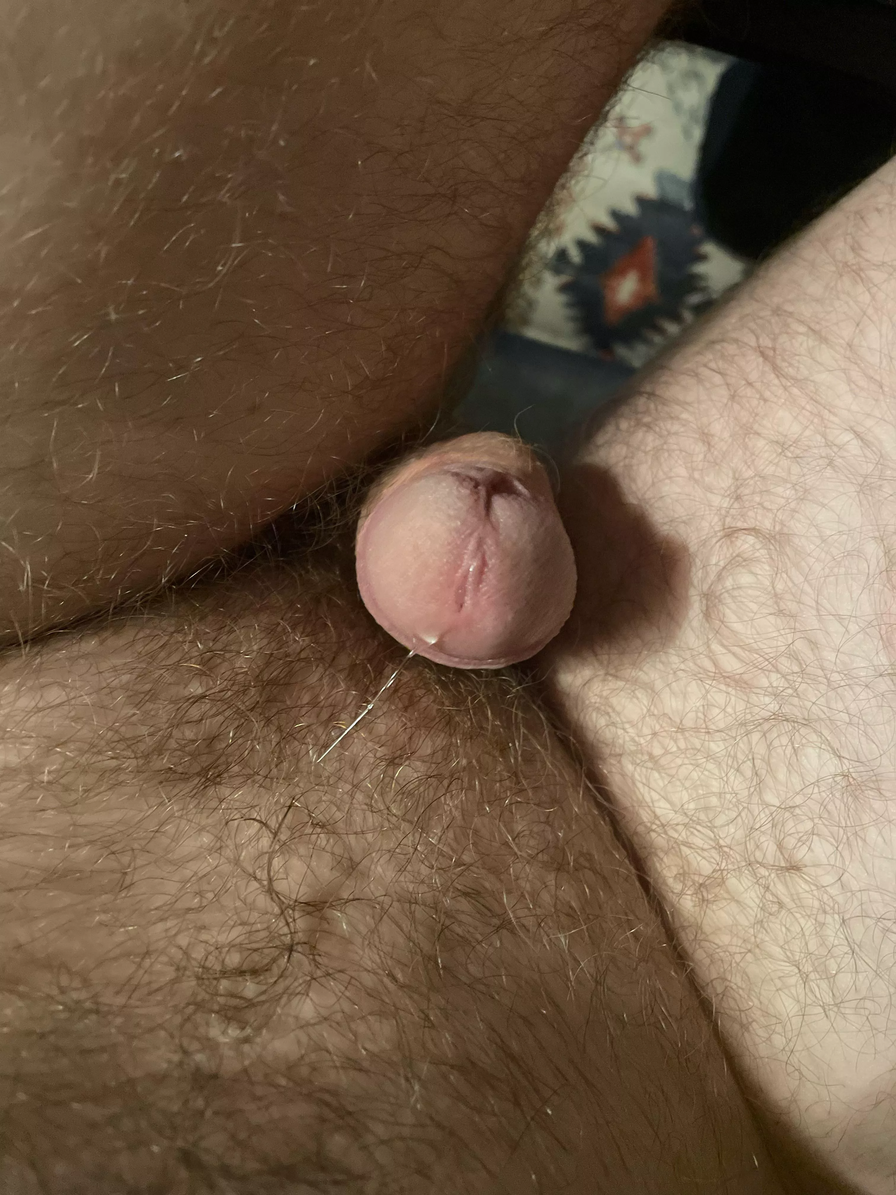 I go from hard to so horny. Can I borrow your pussy to empty my cock? posted by Resident-Frosting291