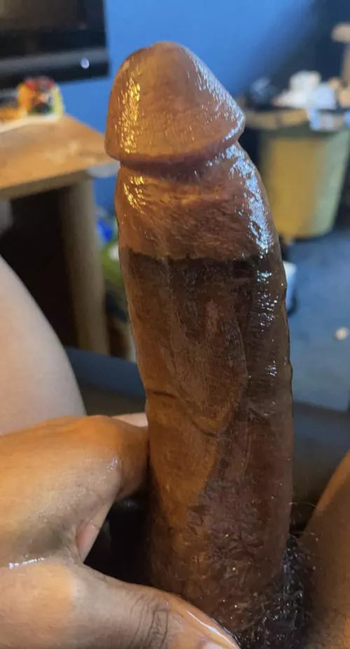 I got interrupted shortly after this, I was very embarrassed 🤦🏾‍♂️ by bbcice