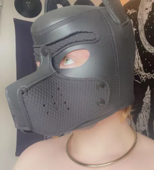 I got my first puppy hood today!! by _fleshandbones