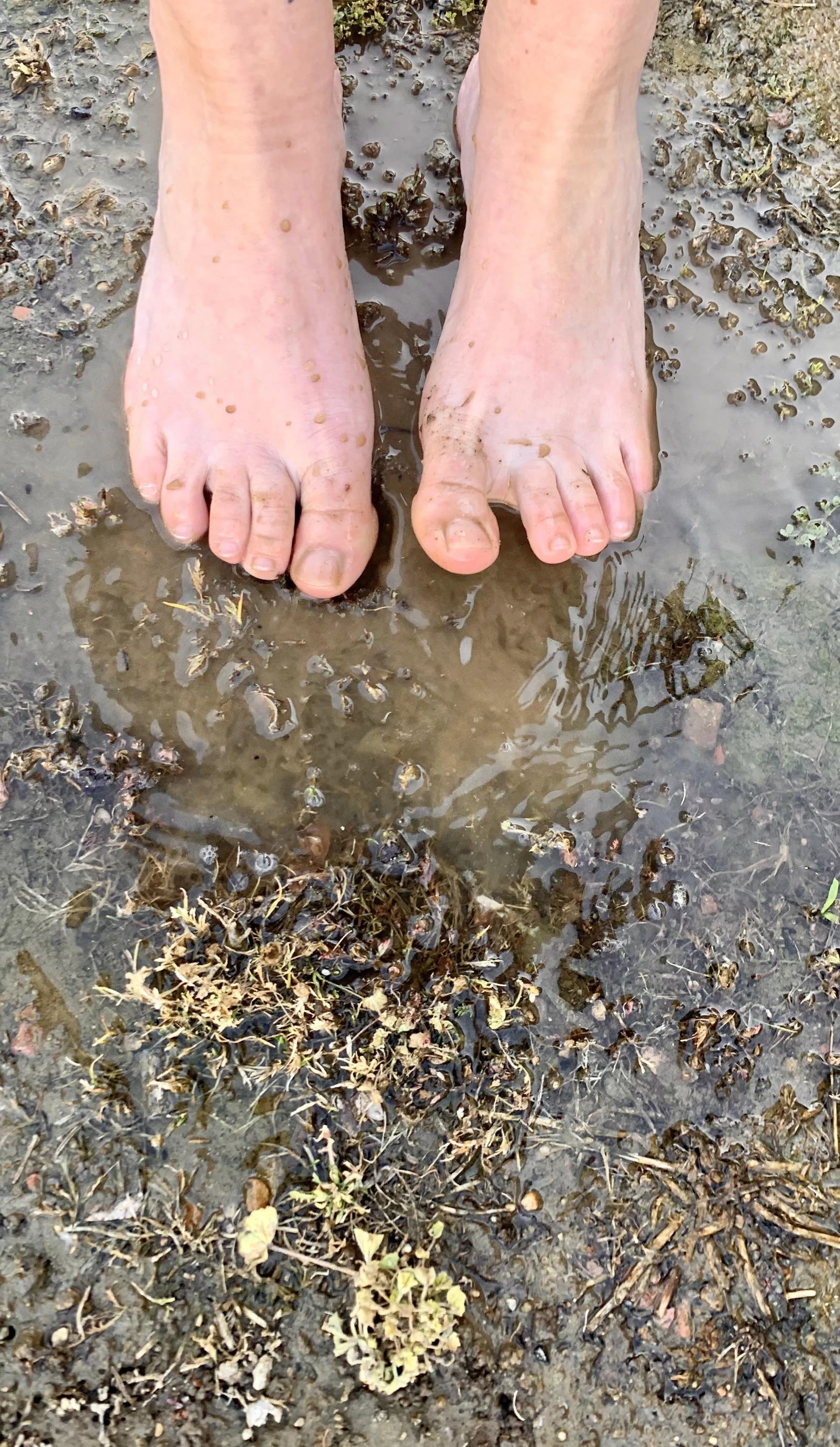 I got so muddy! posted by suburbansole