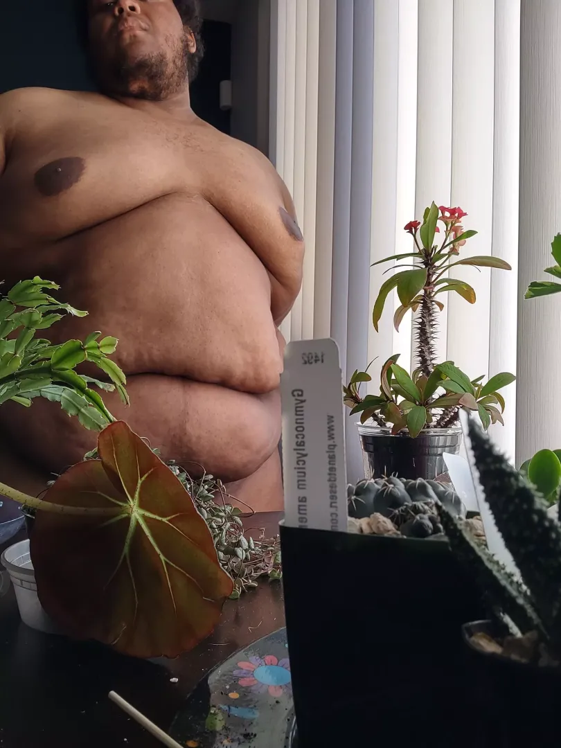 I grow plants posted by Dak3OH1