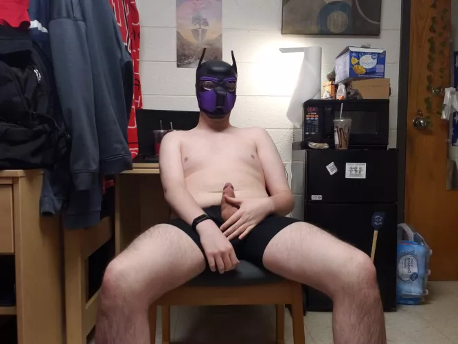 i have a bone that needs burrying *arff* by SAlexxx69