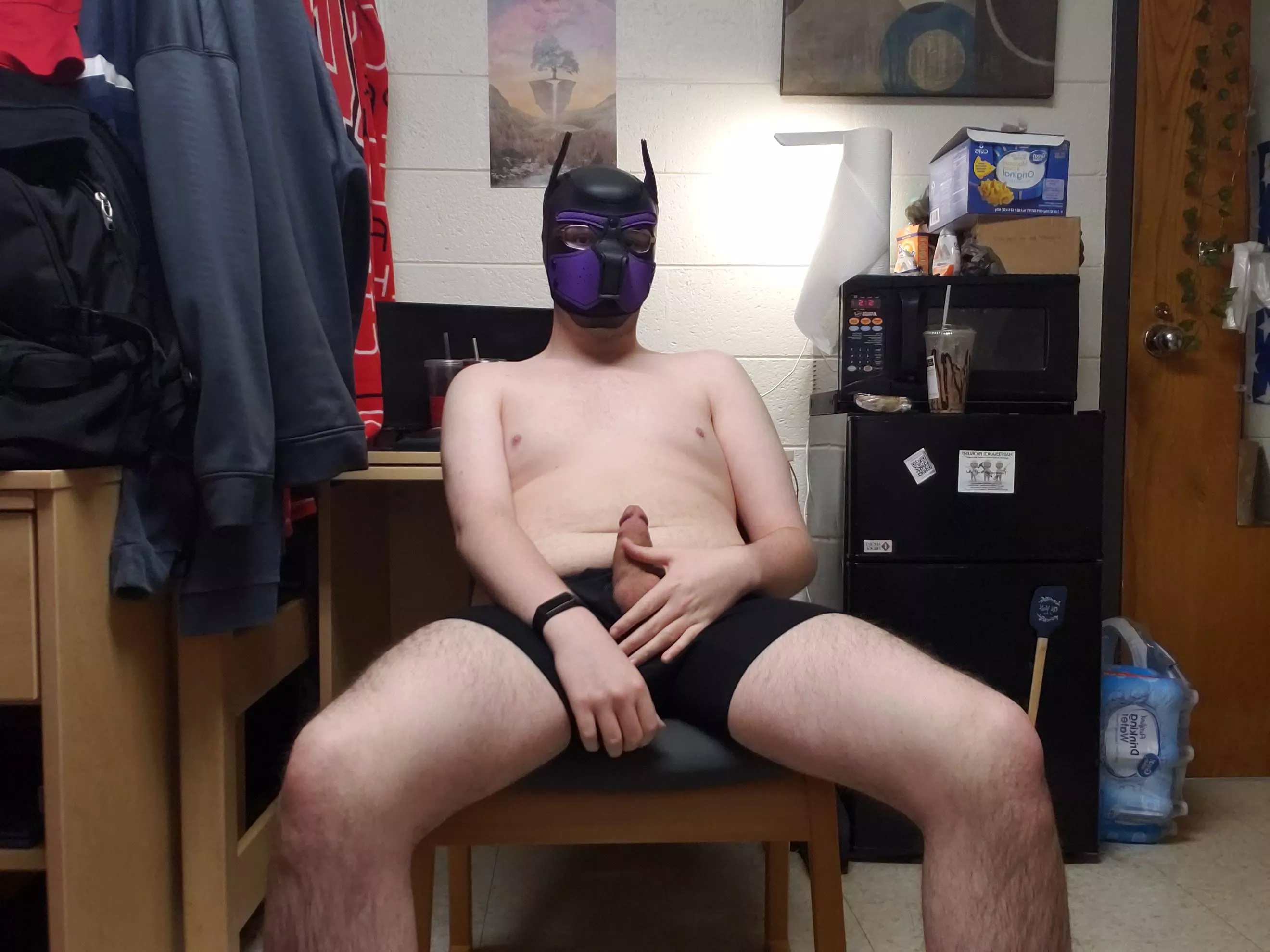 i have a bone that needs burrying *arff* posted by SAlexxx69