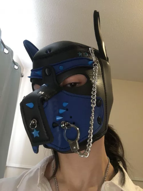 I have a new hood by lunathewolfpup