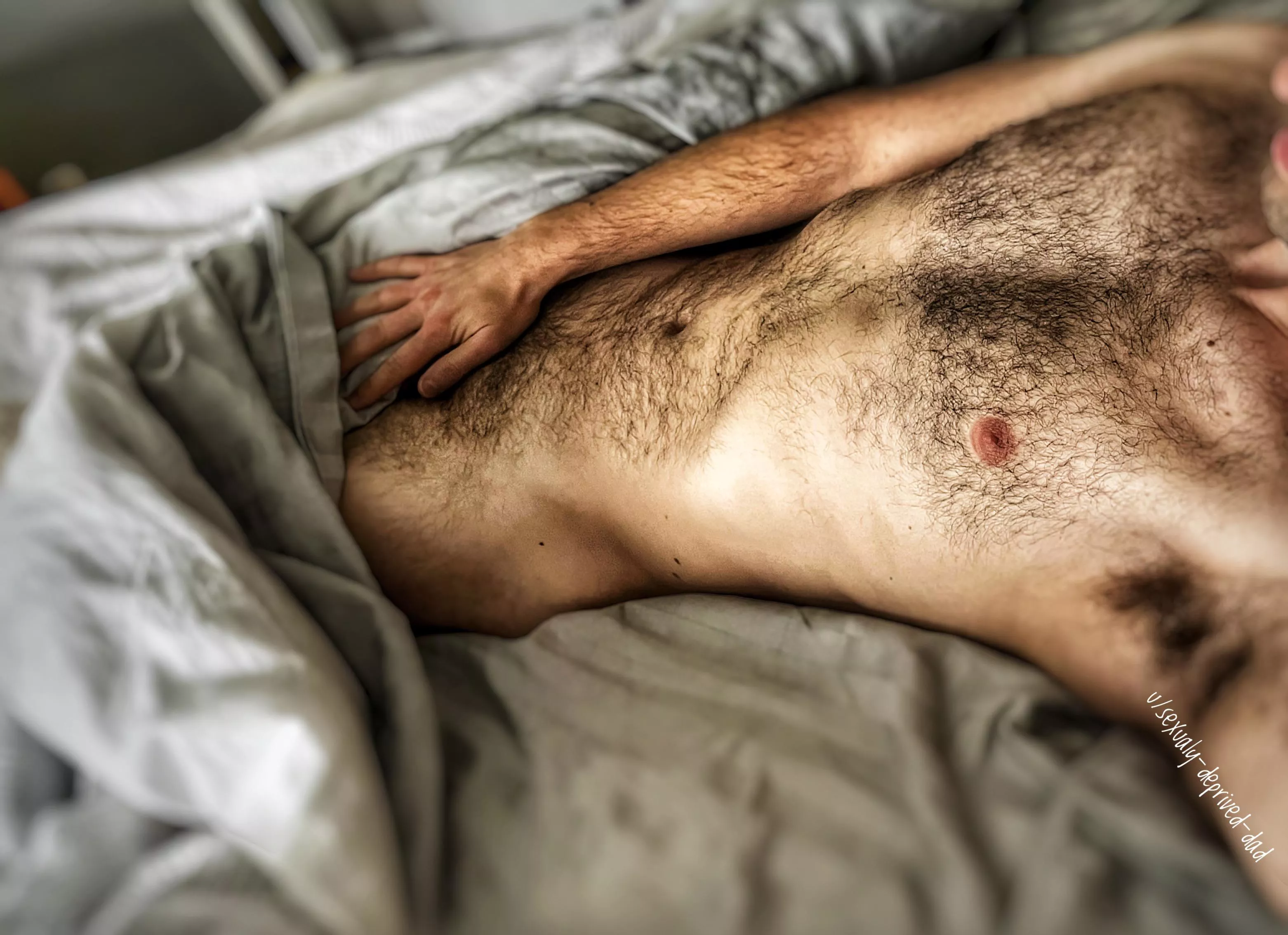 I have plenty of space in this king. Would you be big spoon or little spoon? posted by sexualy-deprived-dad