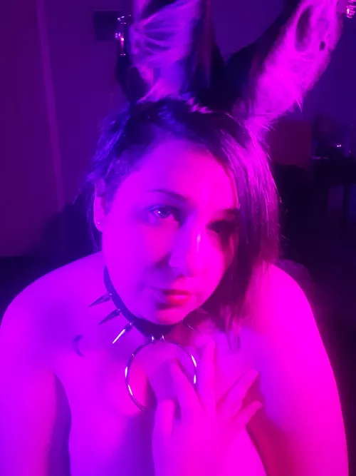 I have the prettiest new ears! Don't you wanna pet me? by pretty-pet-meylin