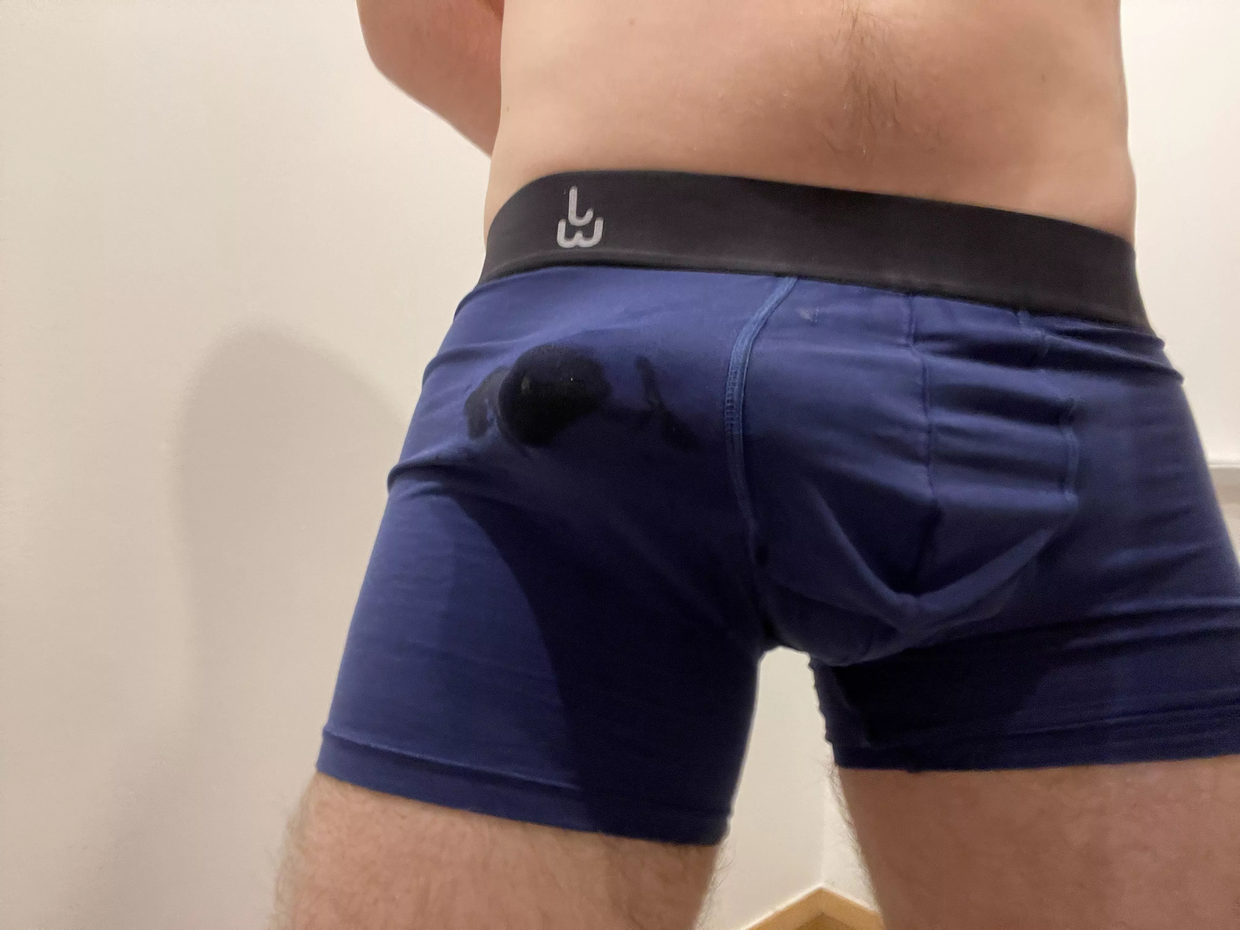 I haven’t cum in a week, I’m ready posted by Inevitable_Half_2255