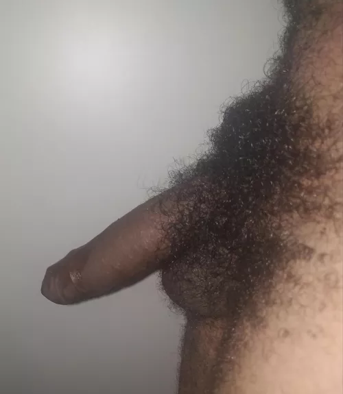 I haven't shaved in years by Bihairy