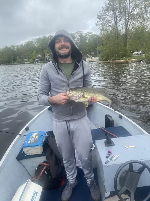 I heard y’all like fish pics by baldsuburbangay