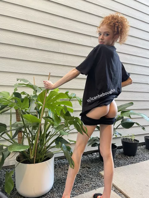 I hope pale little ginger butts are your favorite by icanbebought