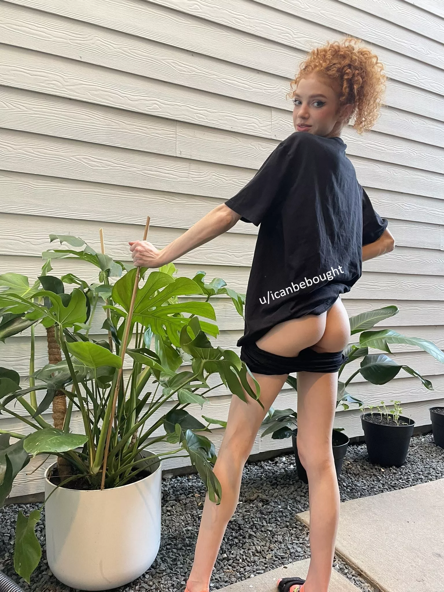 I hope pale little ginger butts are your favorite posted by icanbebought