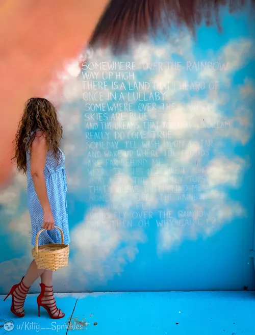 I hope that Wicked Witch doesn’t take my awesome ruby heels! (=^•^=) [f] by Kitty__Sprinkles