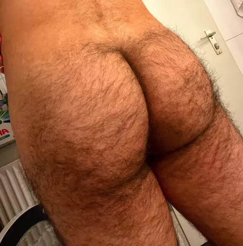 I hope this is not too much hairy. 🐺 by hakikigulyabani