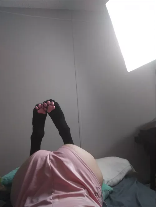 I hope you paws and take a good look~ by SuccessfulFennel7575