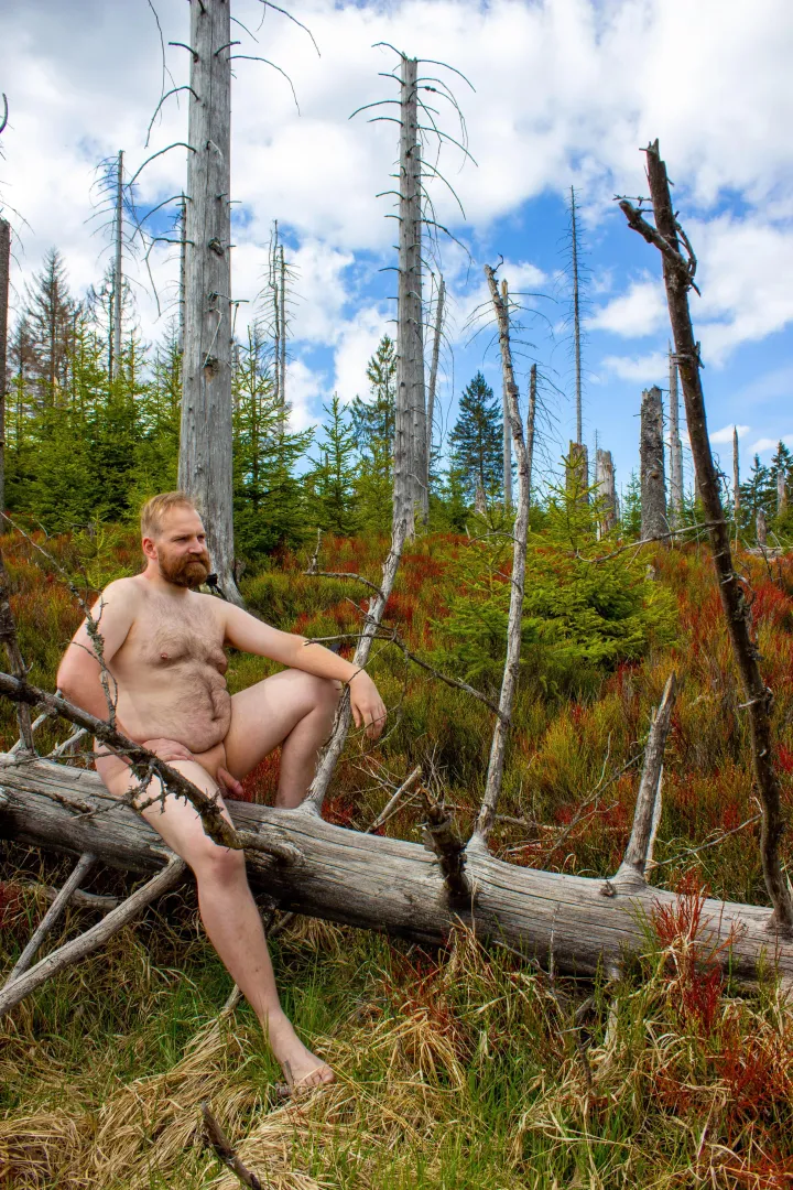 I just live the wilderndes by Jason-McSmith