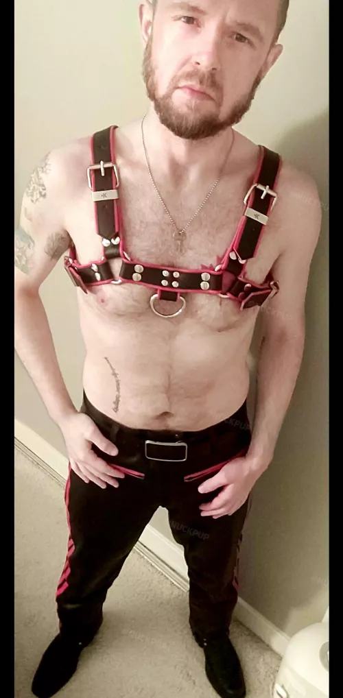 I just want a butt or five to plow right now by nuckpup