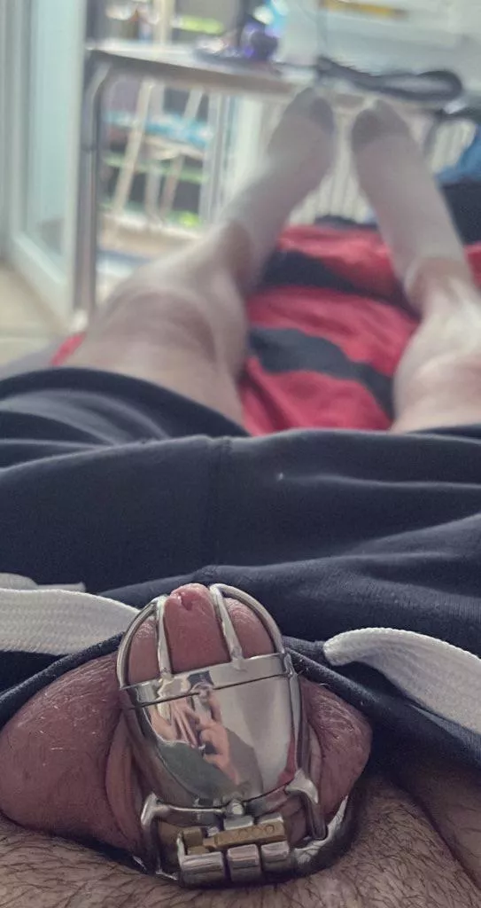 I just want my dick in a cage to remind me not to have a dick at all. posted by TopRip8423