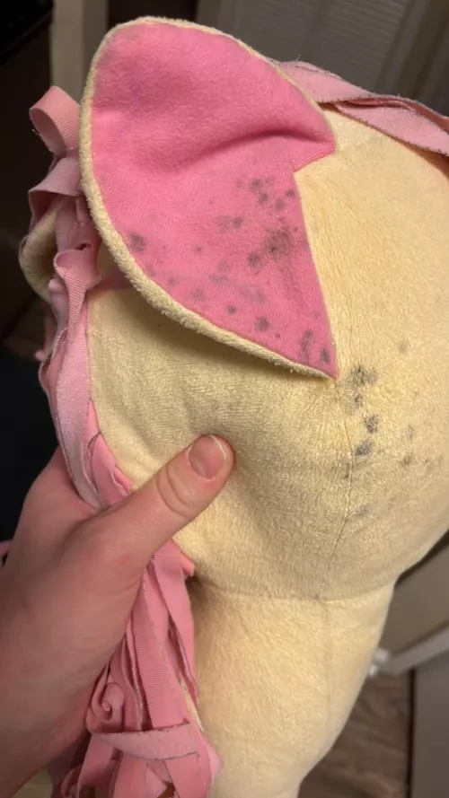 I just went to pick her up and it looks like she has a mold I don’t know if I need to toss her I put her in the washer and it didn’t do anything I’m just so sad I don’t wanna have to get rid of her but I don’t know how to clean her properly by Katievapes1996