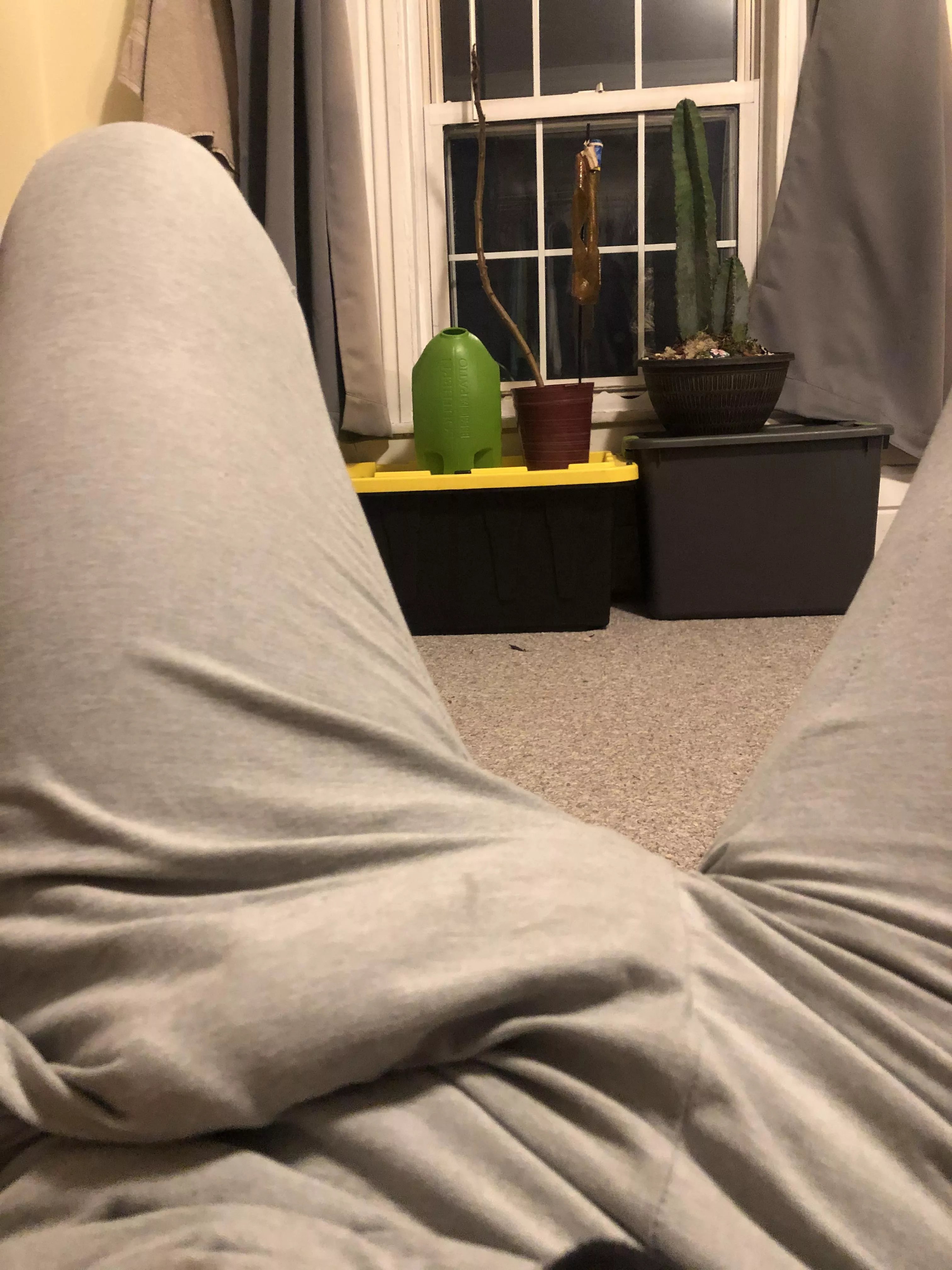 I keep catching my roommate staring… can’t figure out why? posted by BaffledBuffon