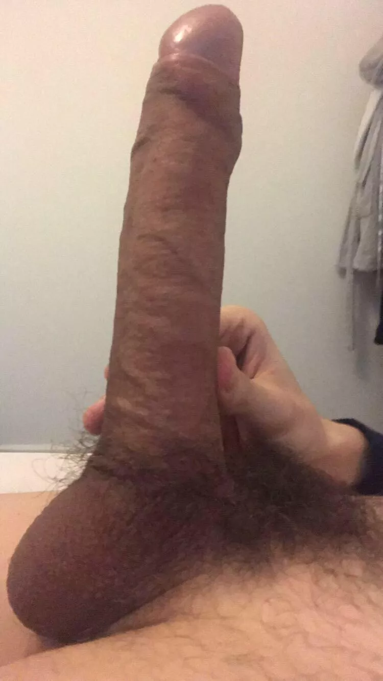 I keep getting told on here to shave it posted by swtapa