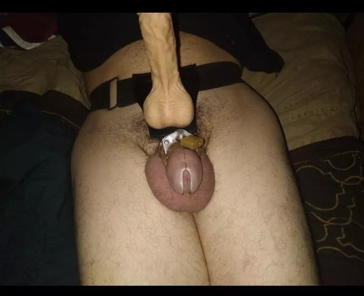 I kina want to join a cupple like this for some fun... of course no pleasure for me lol posted by AdClassic773