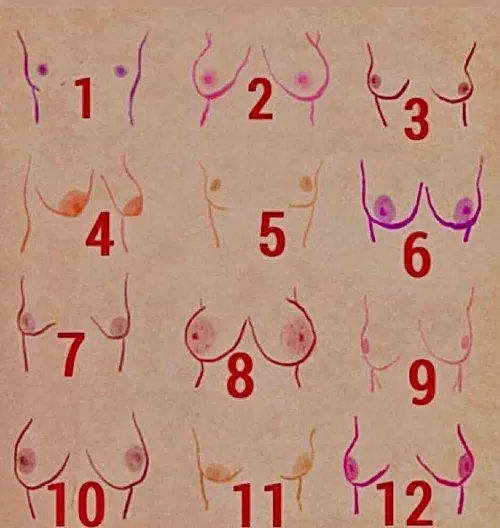 I know this isn’t a choice between 2 different females, but I am curious to which type you’d choose?? by Amtexas84