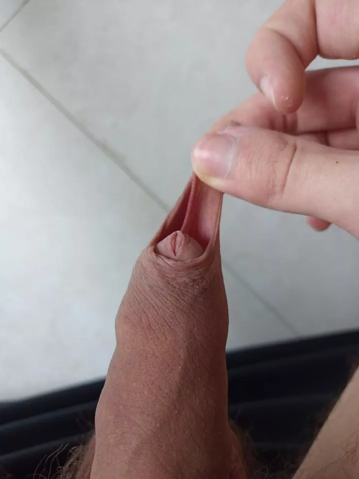 i like so much being uncut posted by vermeparasita