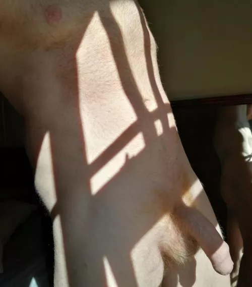 I like the way the morning sun hits my body by edginger