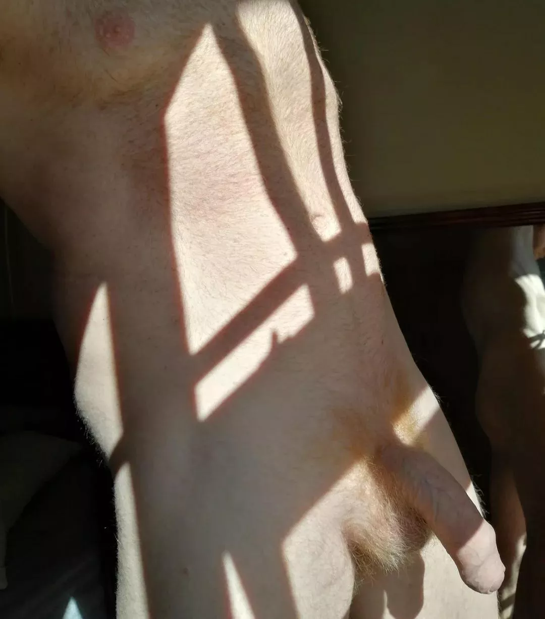 I like the way the morning sun hits my body posted by edginger