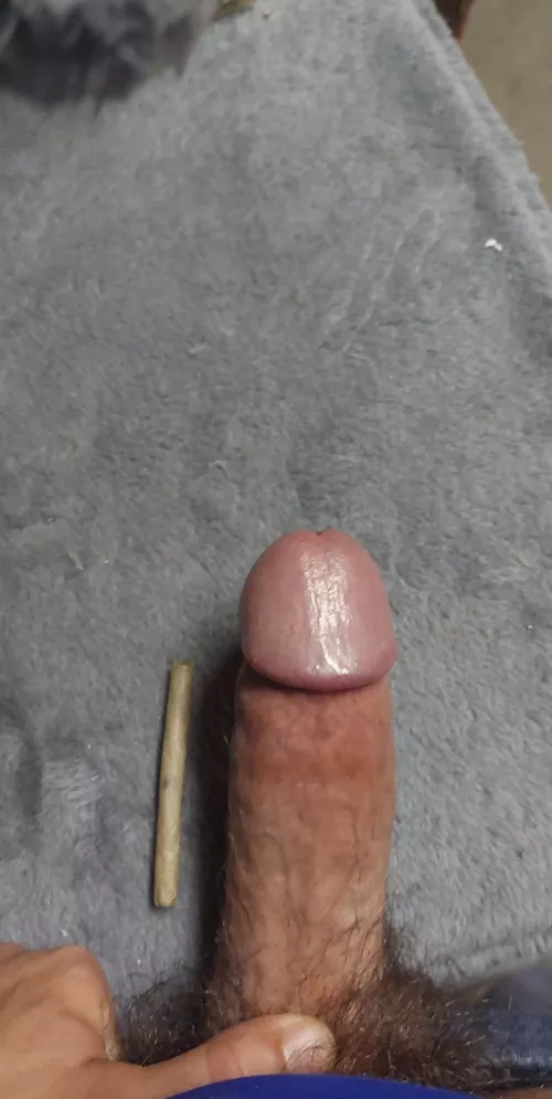I like thick joints and thicc women [m] [31] by John_Wan