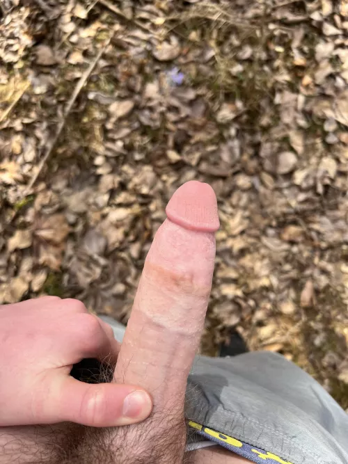 I like when the sun hits my dick by Eastern_Platform2787