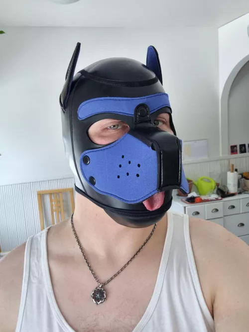 I liked this picture the most. Freshly shined by Alpakka91