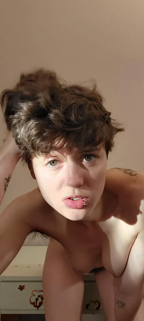 I little peek at everything by arthoe_louise