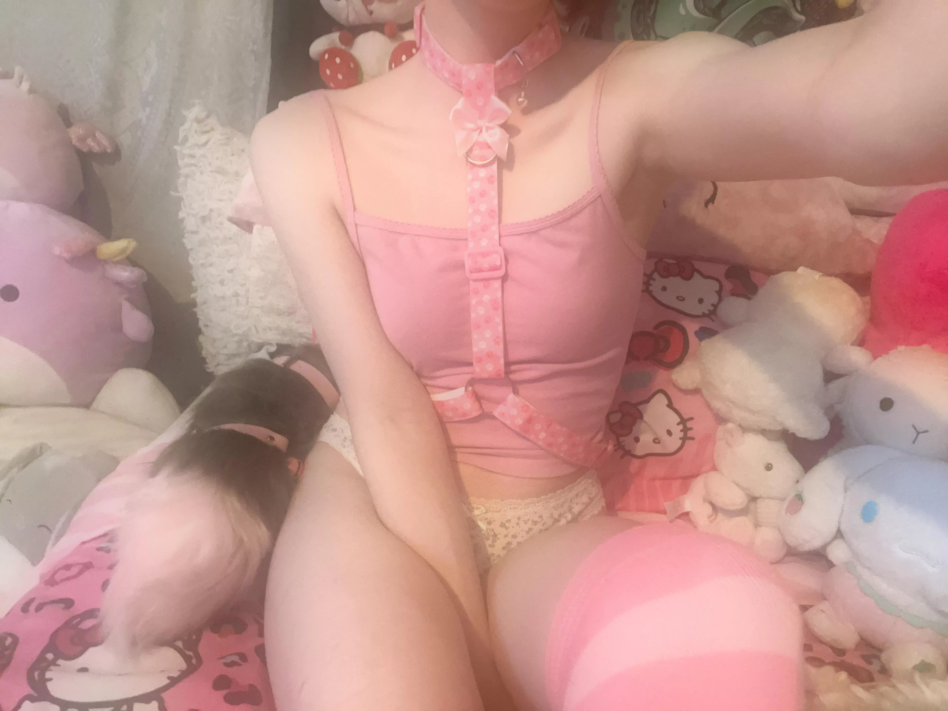 i love being a dumb puppy 🐾🦴 posted by strawberrybabi