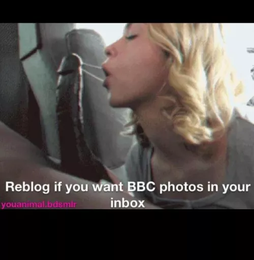 I love big black cocks by WoodpeckerSimple9726