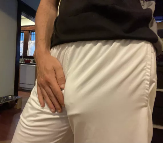 I love getting the succulent gazes by BumpFrankie20