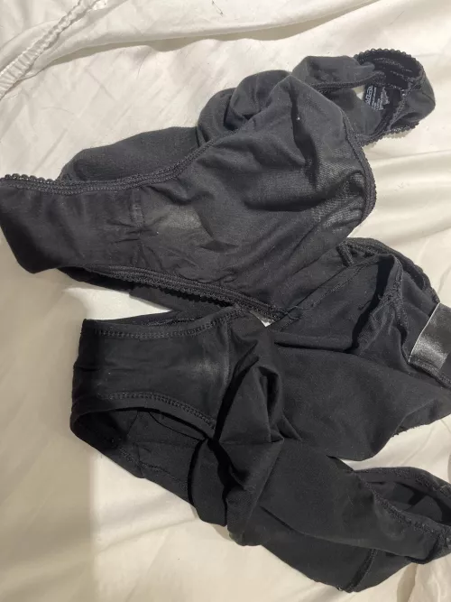 I love house sitting by Local_Introduction24