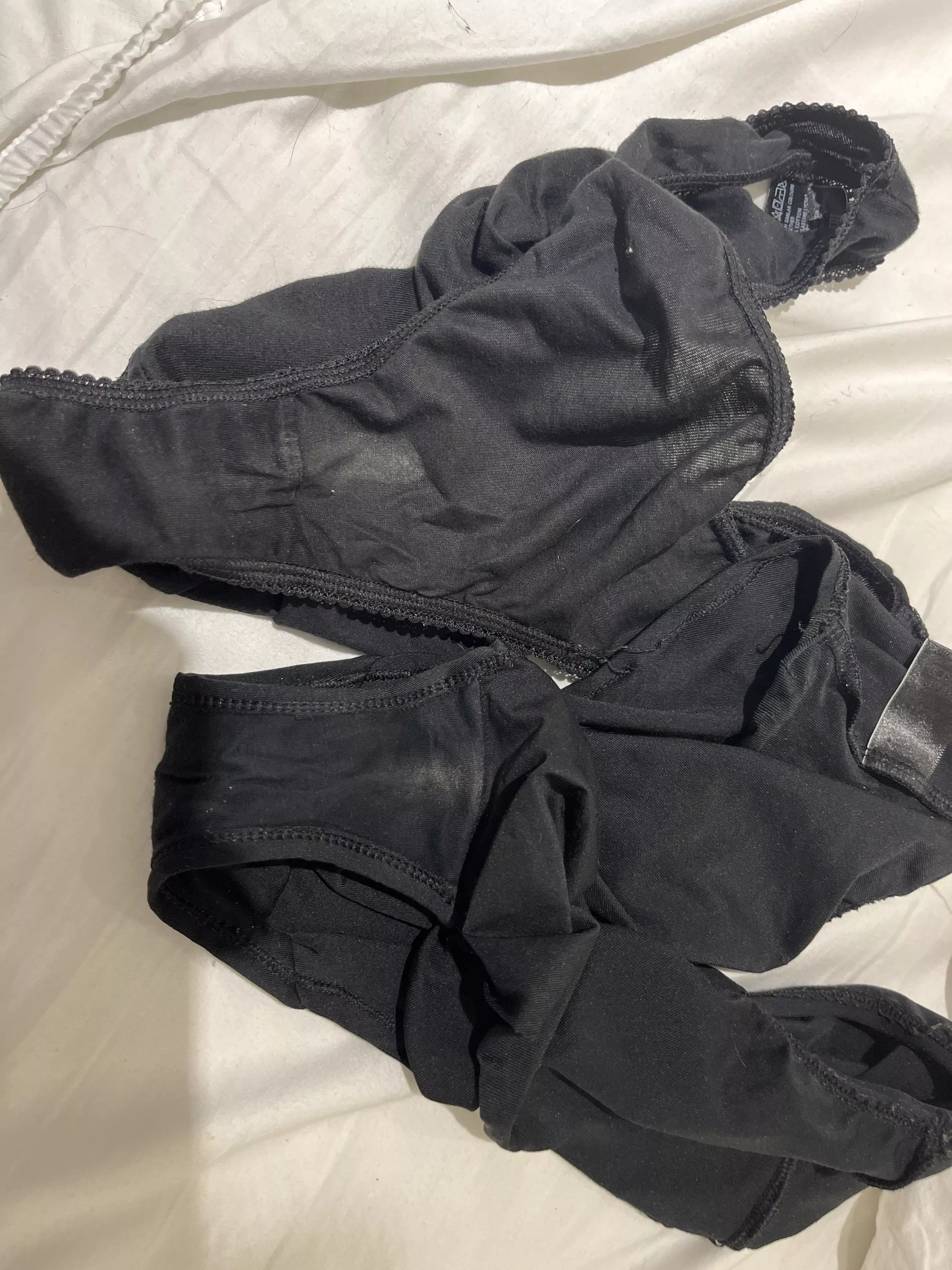 I love house sitting posted by Local_Introduction24