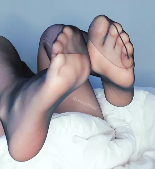 I love how my feet looks in stockings 😍 by LucySoftFeet