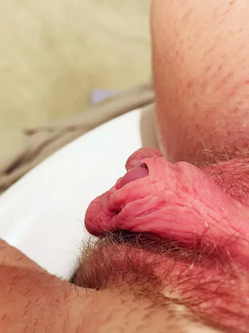 I love it when I’m so horny that my clit is visible from my clit hood. It’s my favorite things to see 😍 what do you like about it? 🥰 by Yougrindingonmyface